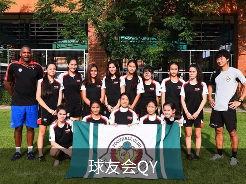 了解球友会QY